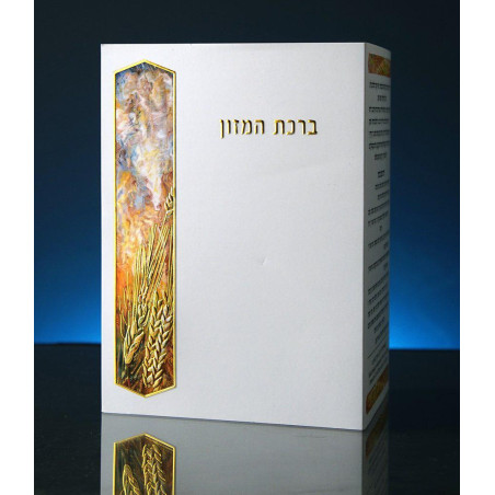 ברכת המזון