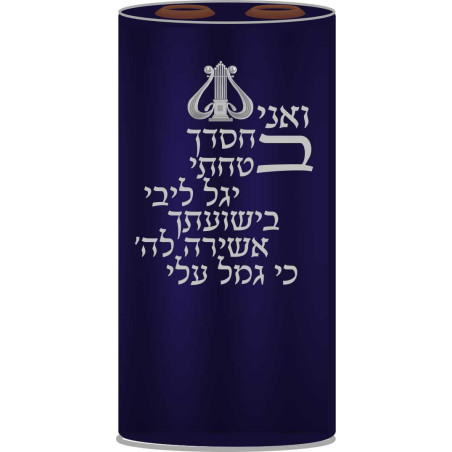 Robe Sefer torah