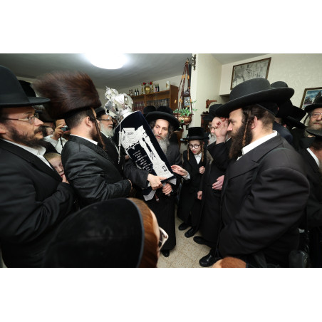 מעיל לספר תורה שער וילנא