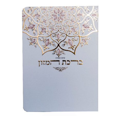 ברכת המזון