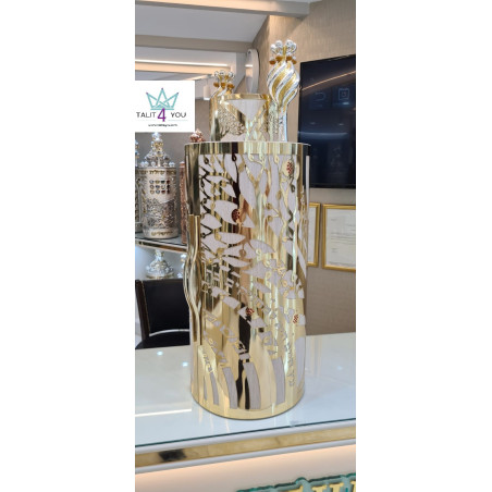 Sefer Torah case