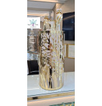 Sefer Torah case