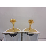 Sefer Torah case