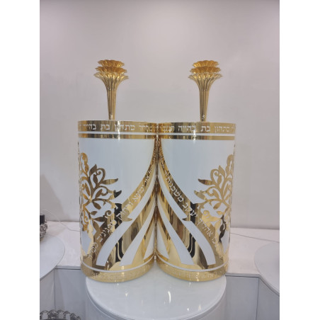 Sefer Torah case