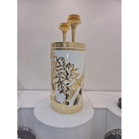 Sefer Torah case