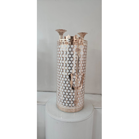 Sefer Torah case
