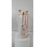 Sefer Torah case