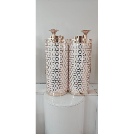 Sefer Torah case