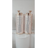 Sefer Torah case