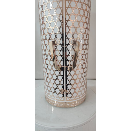 Sefer Torah case