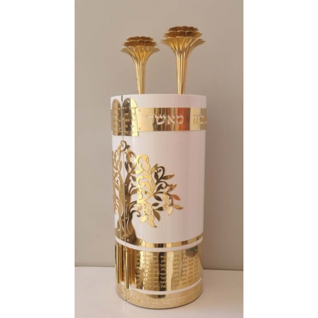 Estuche Moderno para Sefer Torah - Exclusivo y Elegante