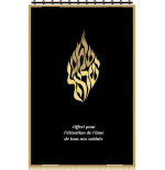 Parochet shema in flames