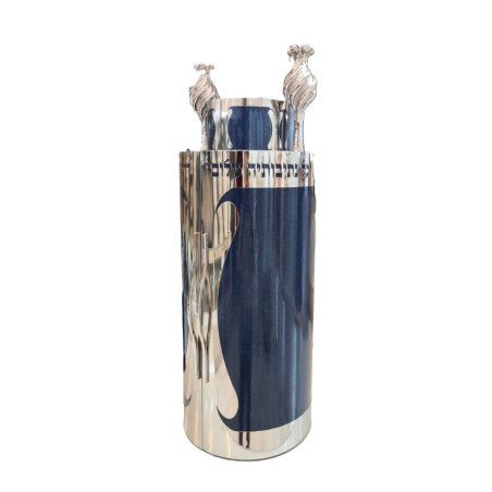 Sefer Torah case