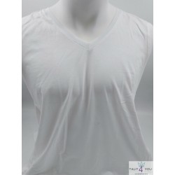 V בלי ציצית גופית ציצית...