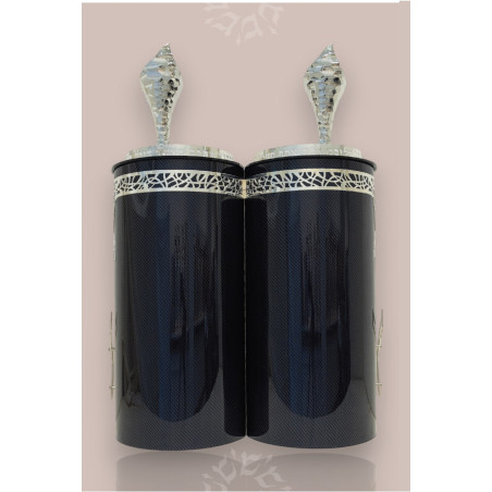 Modern Sefer Torah Case - Elegant Artistic Design