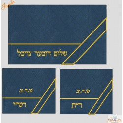 copy of נרתיק תפילין בר...