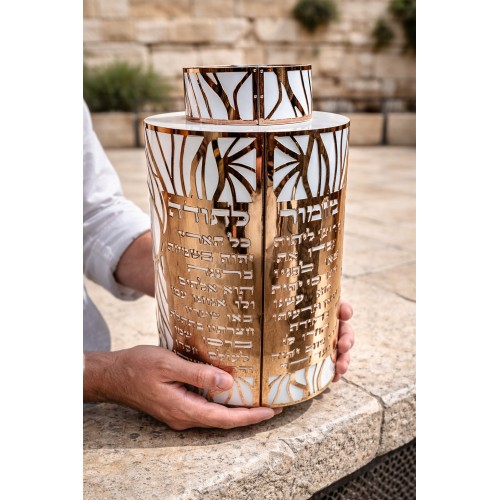 איך לבחור ארגז (תיק/קופסה) לספר תורה – מדריך חובה